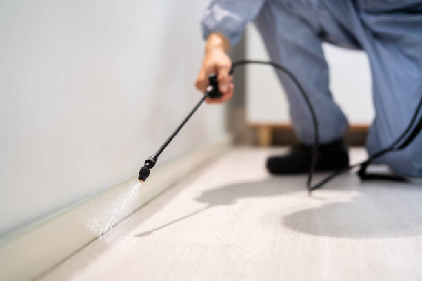 Bed Bug Pre-Treatment Preparation Assessment in West Columbia