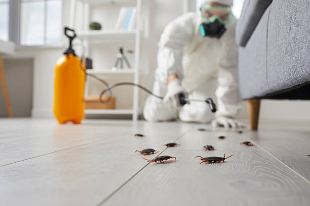 Post-Treatment Bed Bug Interceptor Monitoring in West Columbia