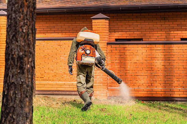 Bed Bug Clearance Verification and Documentation in West Columbia
